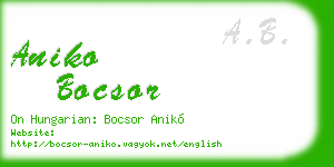 aniko bocsor business card
